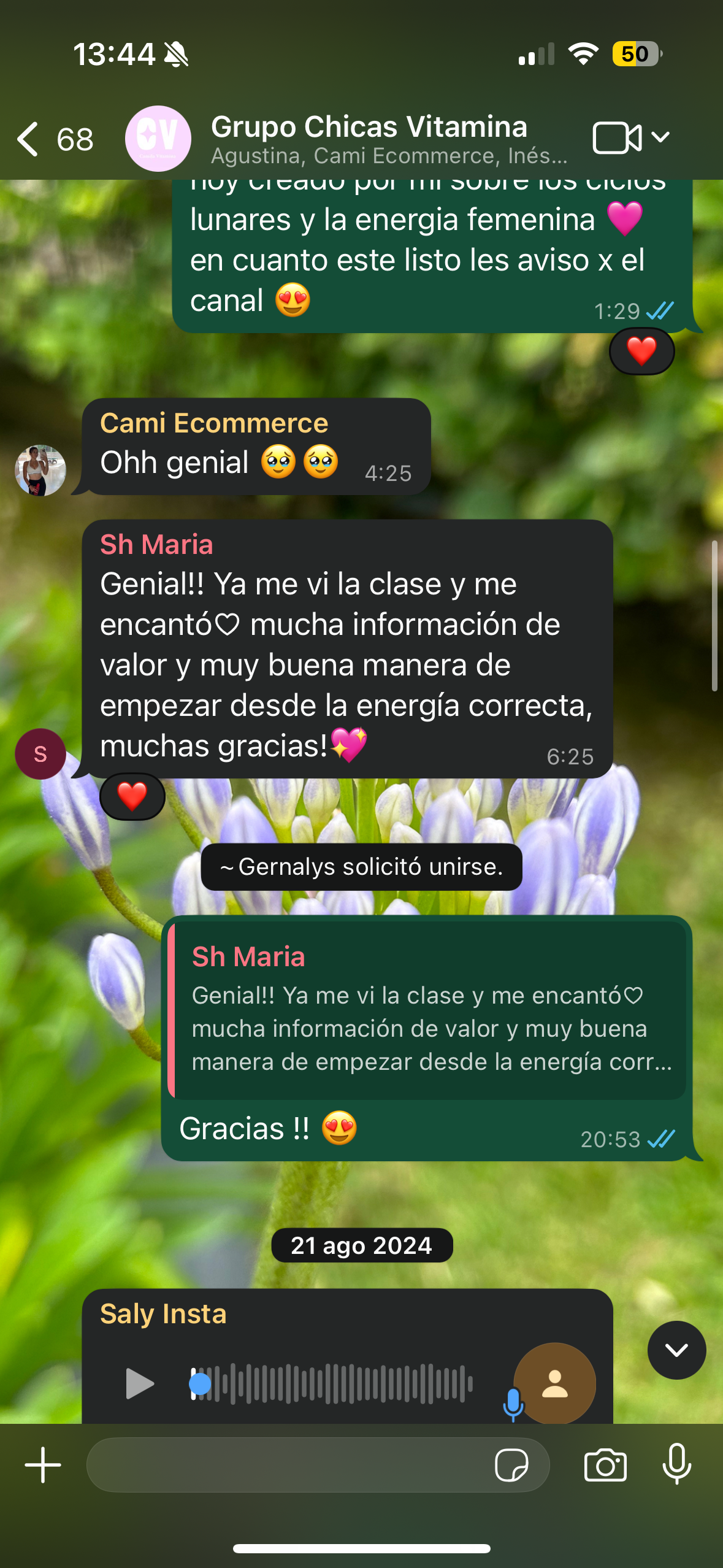 Meditación y plantas